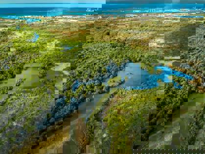 328263565_1351117472313158_6296702994462717847_n